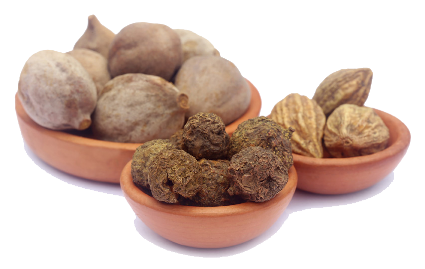 Трифала Гуггул Чурна (Triphala Guggulu Churnam) Sangam Herbals, 100 г ...