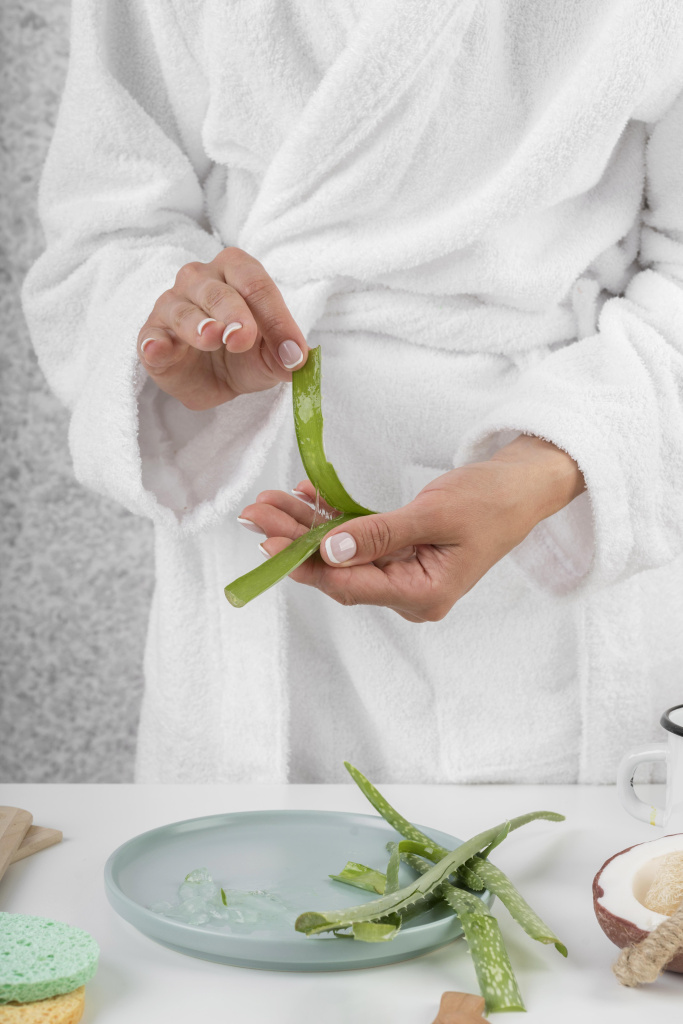 close-up-hands-holding-aloe-vera-plant (1).jpg