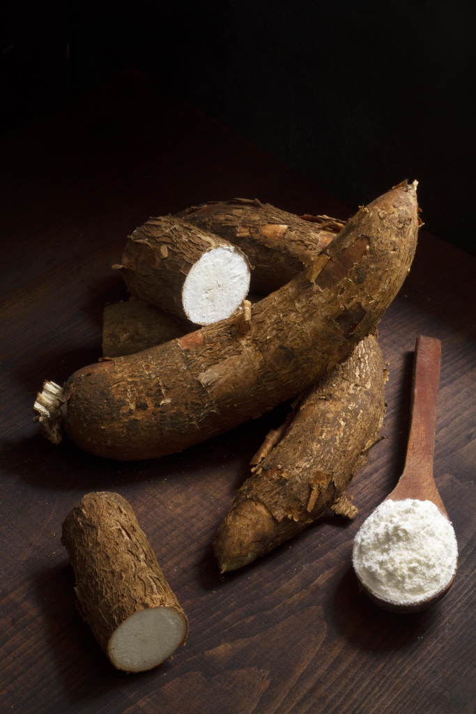 raspolozenie-pitatel-nyh-kornei-manioki (1).jpg