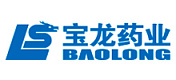 Baolong Baolong