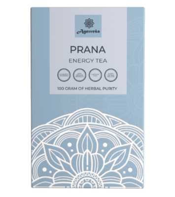 Аюрведический энергетический чай Прана Агнивеша, Prana Energy Tea Agnivesa, 100 гр