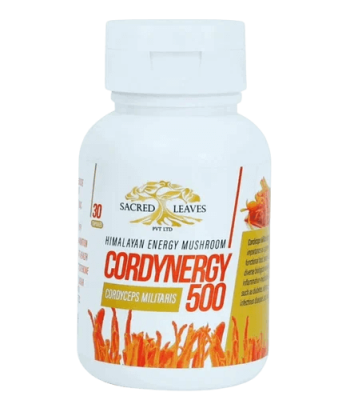 Кордицепс (Cordynergy Cordyceps Militaris Sacred Leaves) 30 капсул по 500 мг